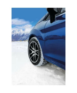 COPPIA DI CALZE DA NEVE PER AUTO SNOWDRIVE "SD54" - 17140